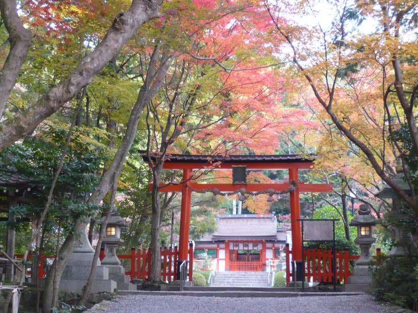 Autumn leaves at Oharano-jinja Shrine