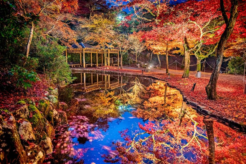 Autumn leaves in Miyajima and Momijidani Park