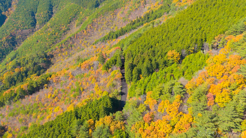 Autumn leaves of Shionoe Onsenkyo