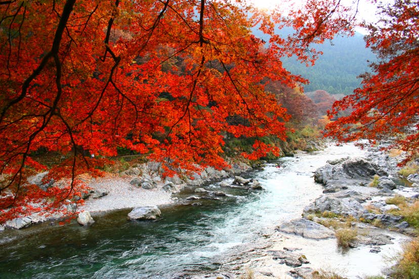 御岳渓谷の紅葉