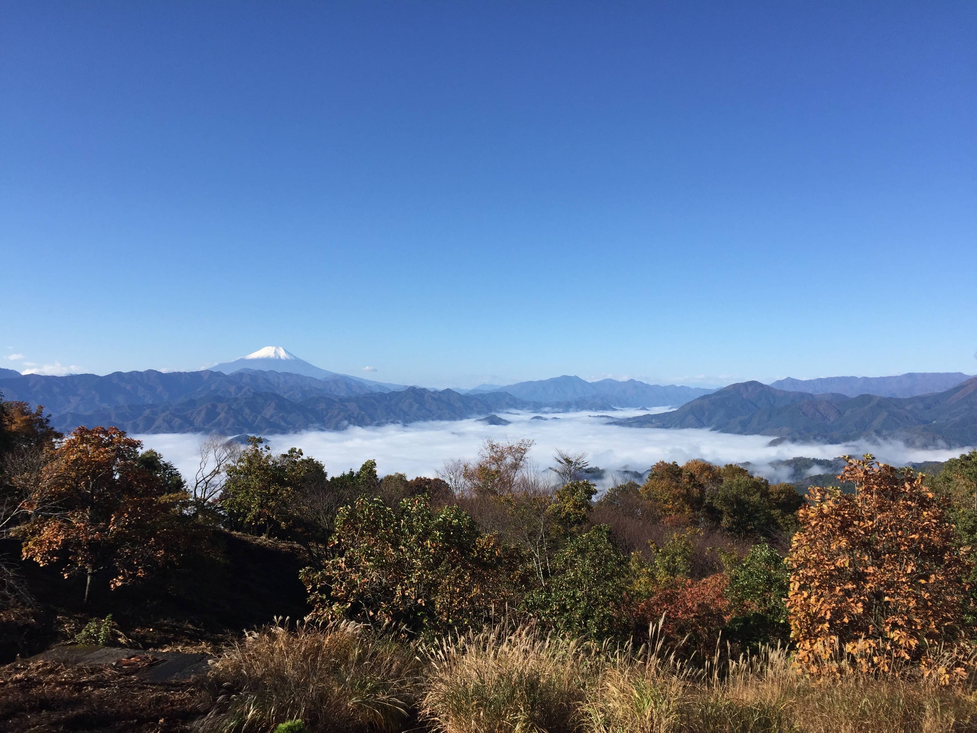 Autumn leaves of Mount Jinba