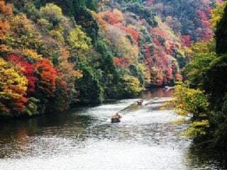 Autumn leaves of Lake Kameyama