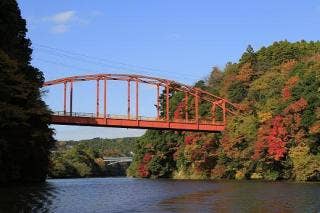 Autumn leaves of Lake Kameyama