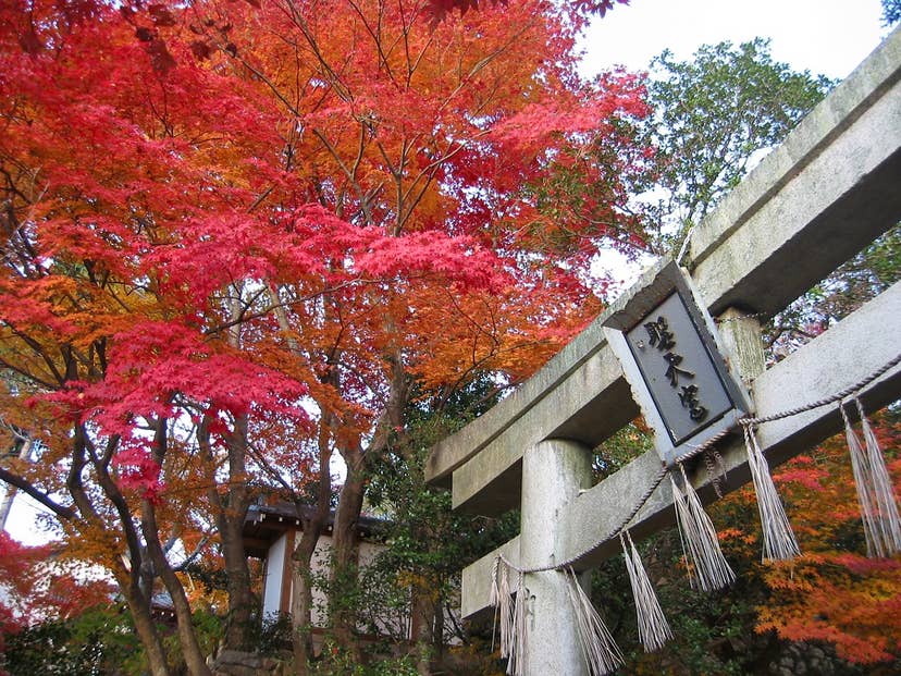 箕面（西江寺）の紅葉