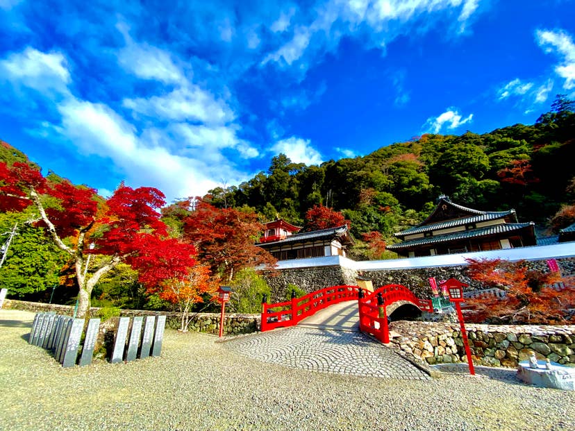 箕面（瀧安寺）の紅葉