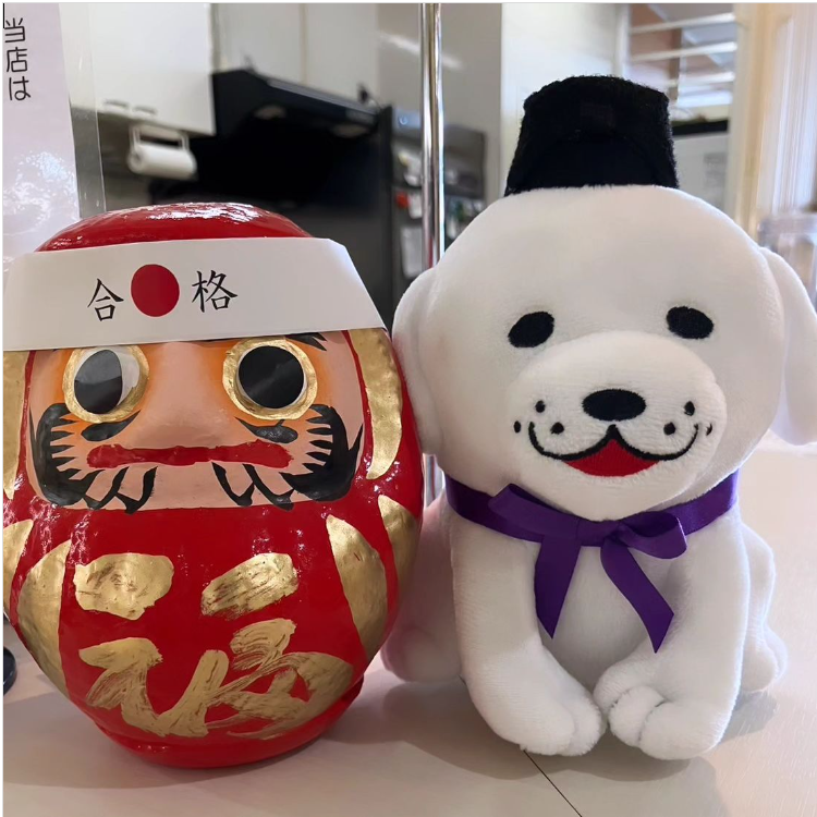合格だるまストリート2026】王寺町にだるまさんがいっぱい！ / 奈良県