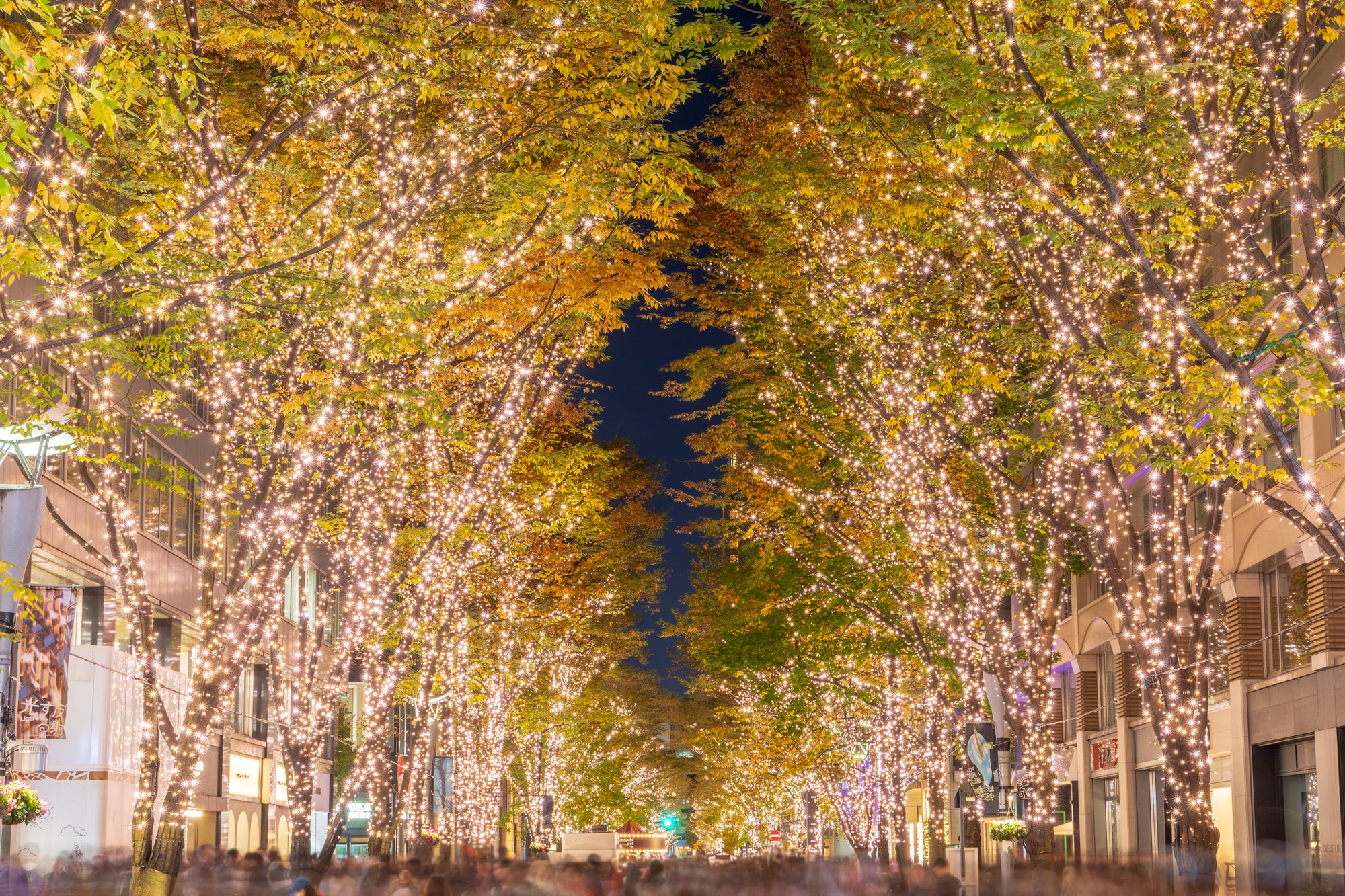 イルミネーション 2025-2026 -【JAPAN 47 GO】