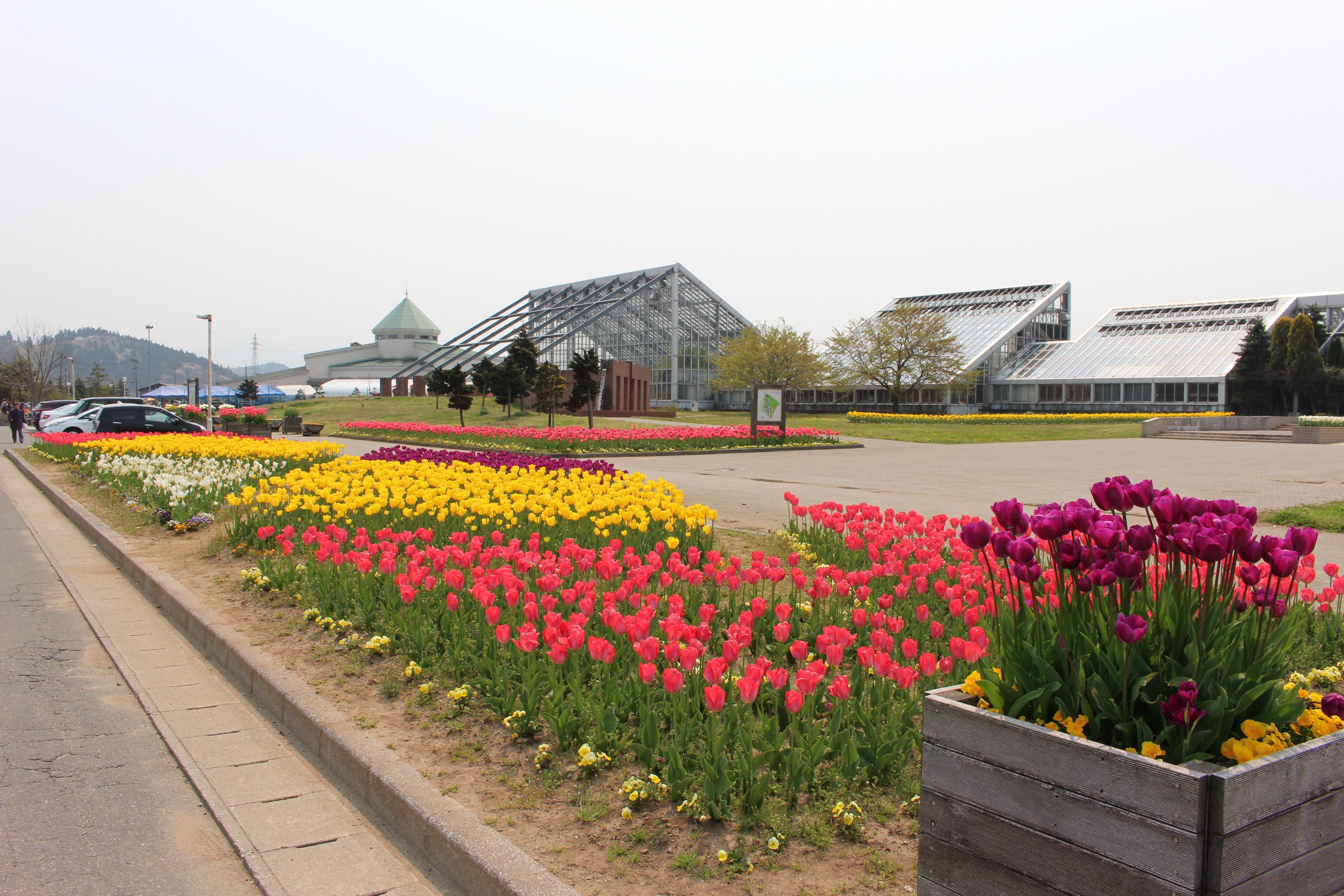 加賀谷果樹園 / 秋田県 -【JAPAN 47 GO】