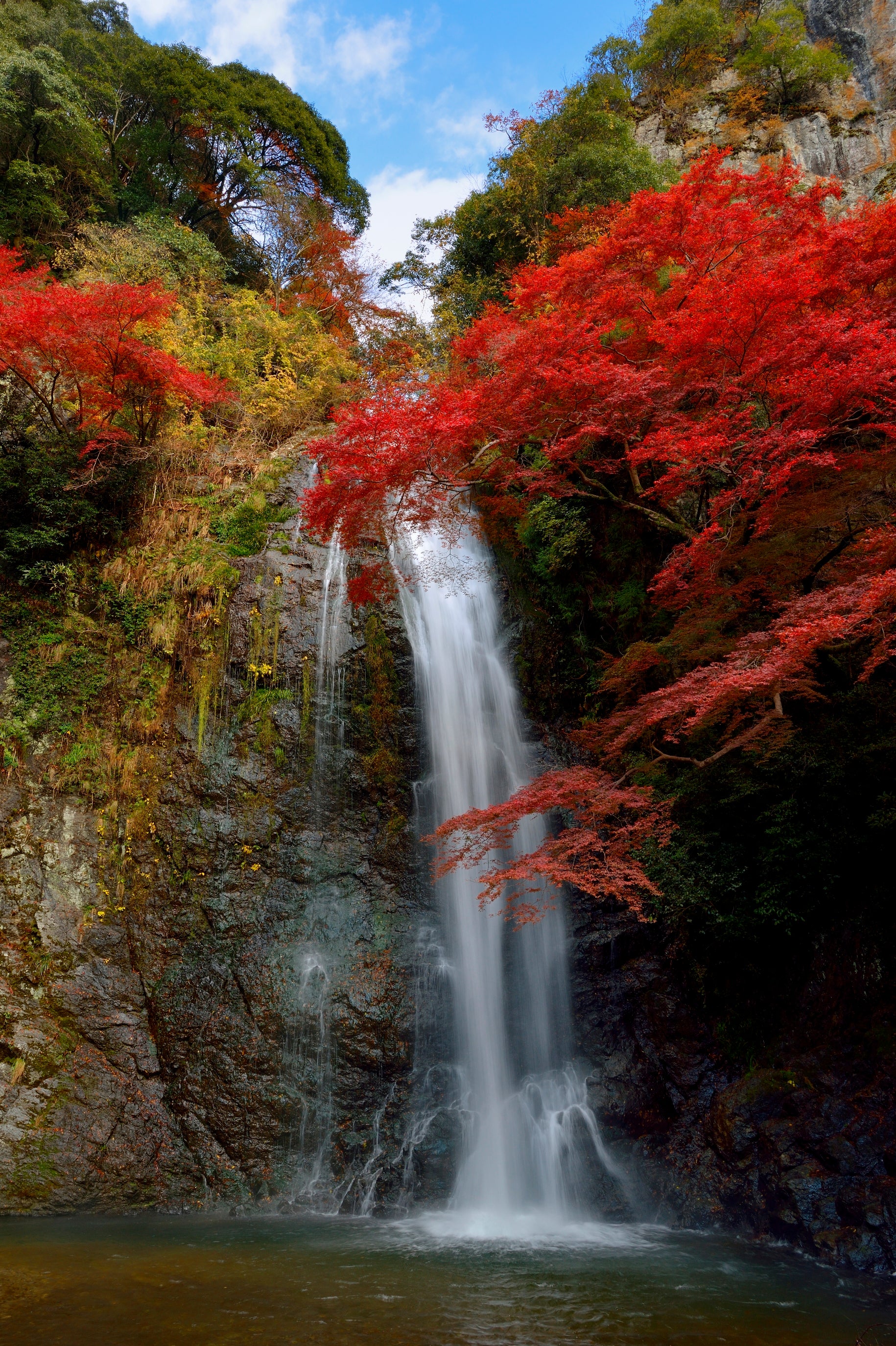 徳力富吉郎　木版画　箕面の紅楓　紅葉　滝　風景画 箕面（箕面大滝）の紅葉 / 大阪府 -【JAPAN 47 GO】