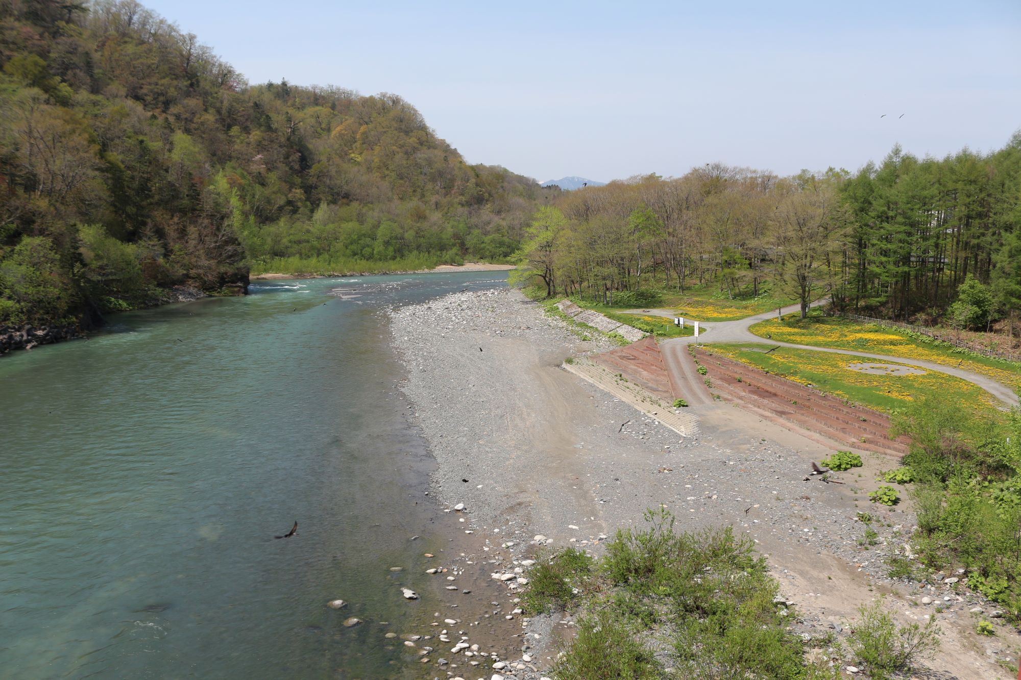 カムイコタン公園キャンプ場