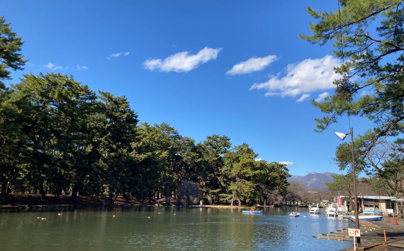 敷島公園の桜 / 群馬県 -【JAPAN 47 GO】