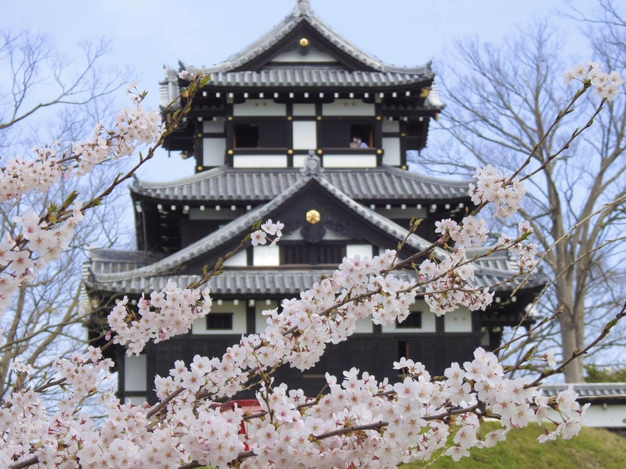 高田城址公園の桜 / 新潟県 -【JAPAN 47 GO】