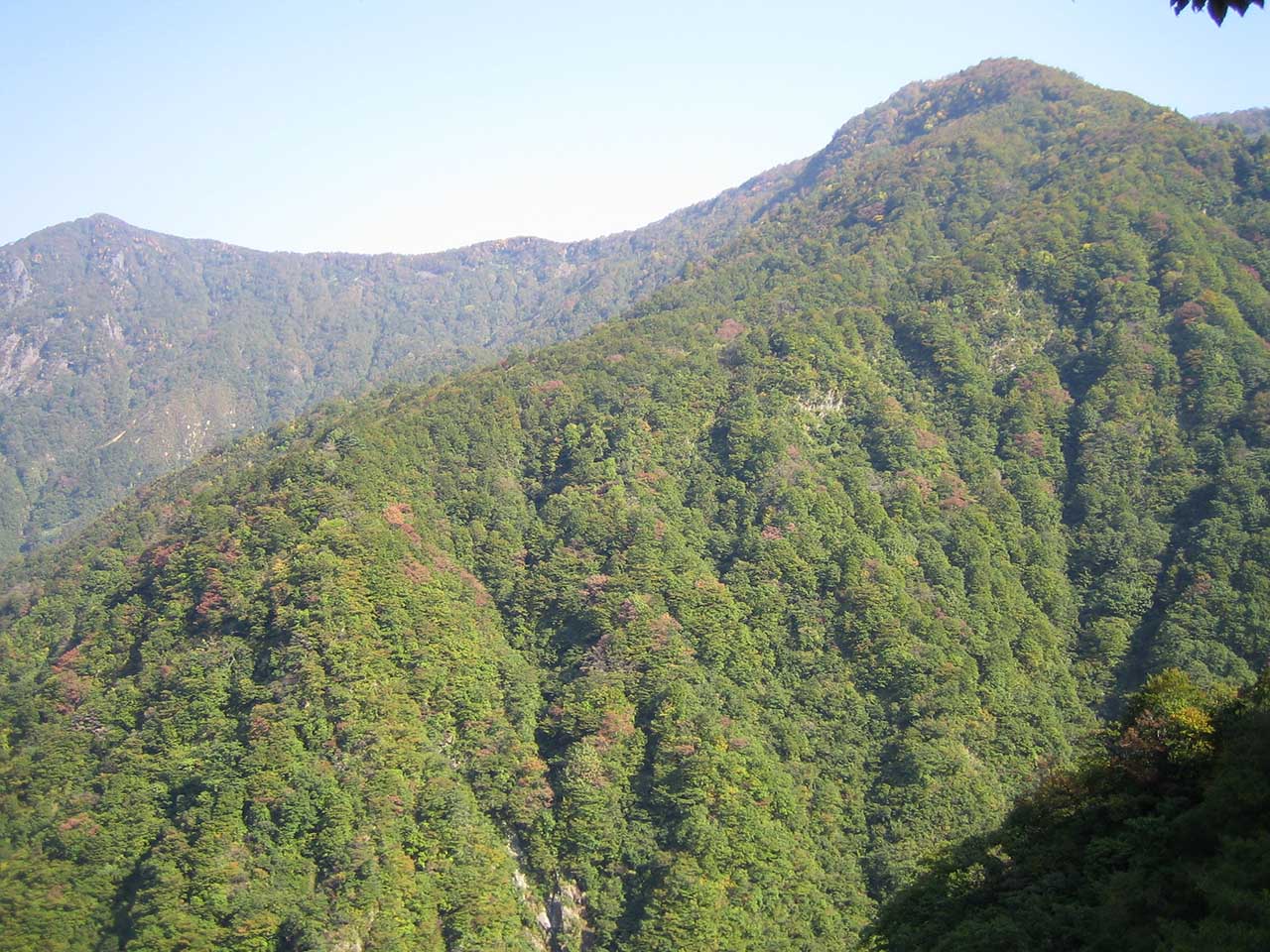裏巻機渓谷 / 新潟県 -【JAPAN 47 GO】