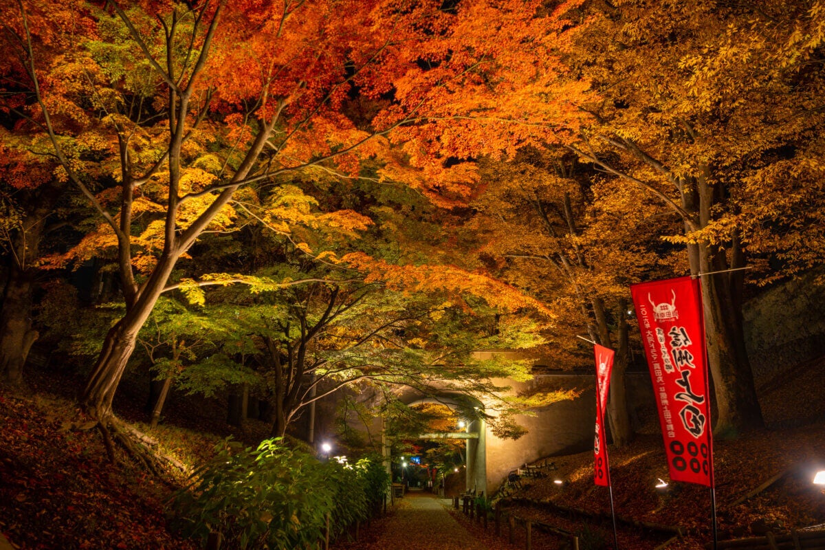 第20回 上田城紅葉まつり